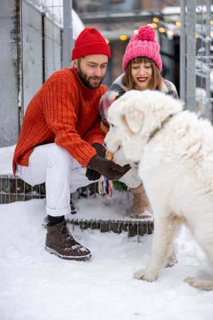 Young couple in sweaters play with a dog while sit together on a porch of their house, spending winter time happily outdoorsの写真素材