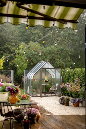 Morning view on backyard with beautiful vintage greenhouse in foggy weather. Tiny and cozy garden near forestの写真素材