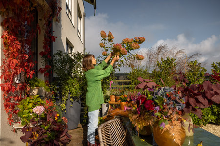 Woman takes care of plants and flowers at backyard in autumn. Beautiful leaves in yellow and red colorsの写真素材