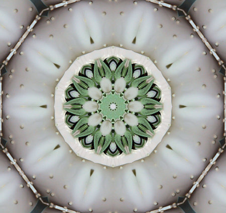 Green and white abstract