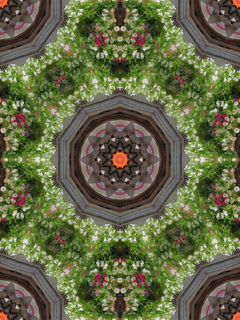 Flower abstractの写真素材