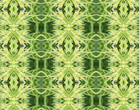 Greenand yellow abstractの写真素材