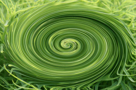 Green swirl mediumの写真素材