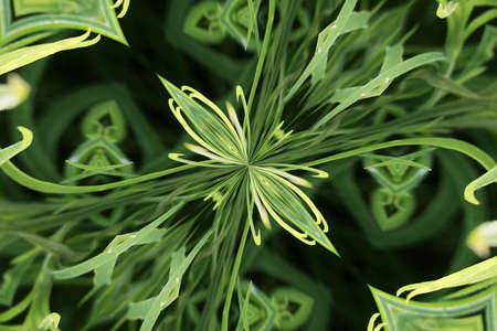 Green abstractの写真素材