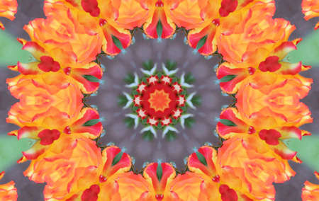 Orange flamesの写真素材