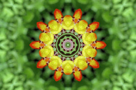 Orange and green flower abstractの写真素材