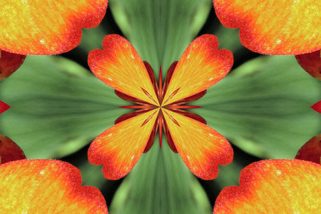 Orange and green flower patternの写真素材