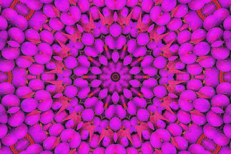 Purple pebblesの写真素材