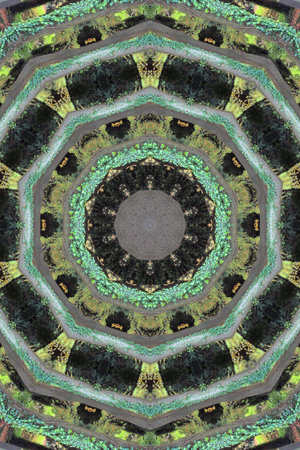 Green and black abstract