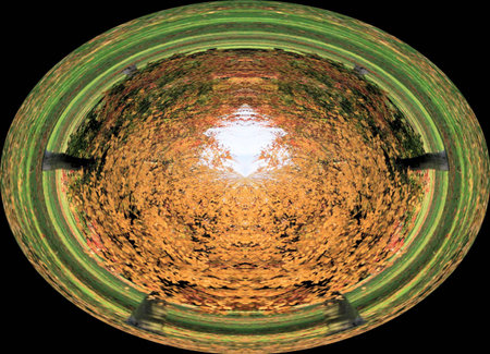 Orange and green abstract made from autumn tree photo