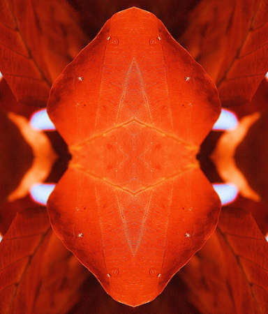 Red abstractの写真素材