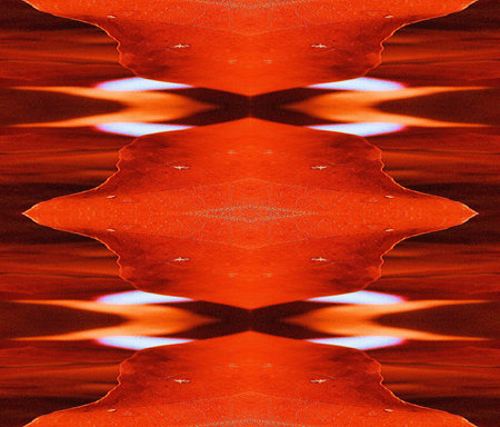 Red abstractの写真素材