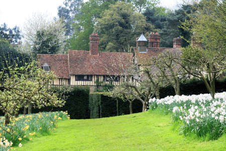 Orchardの写真素材