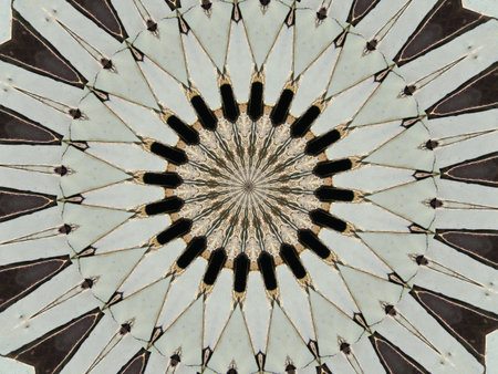 Black and white abstract