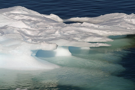 Iceberg 