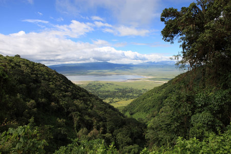 vieuw into Ngorongoro crater Tanzania from the rimの写真素材