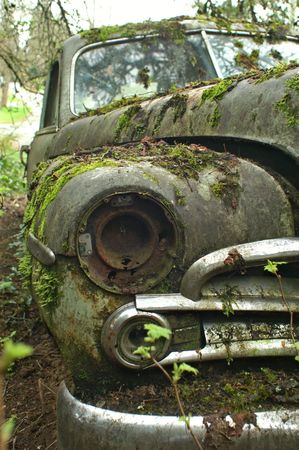 OLD DODGE COVERED IN MOSSの写真素材