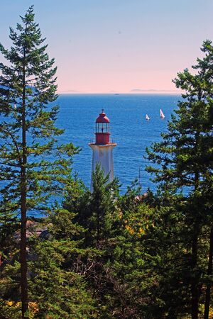 LIGHTHOUSE FRAMED BY TREESの写真素材