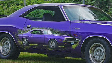 PURPLE CHALLENGER DBL. EXPOSURE
