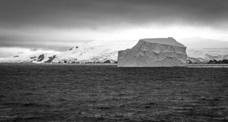 Black and white of Icebergs floating in the Antarctic after calving off the numerous glaciers in the area.の写真素材