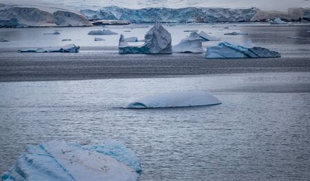 Icebergs floating in the Antarctic after calving off the numerous glaciers in the area.の写真素材