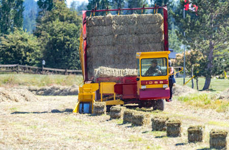 Victoria B.C. Canada- 06/25/2020. Farmers use tractors and other farm equipment to harvest their crop of hay.のeditorial素材