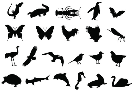silhouettte of animalsのイラスト素材