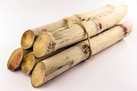Sugar cane, brazilian, cane, piece of cane, fresh, sugar cane, white, background, cane, freshの写真素材