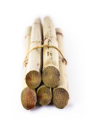 Sugar cane, brazilian, cane, piece of cane, fresh, sugar cane, white, background, cane, fresh. Plant used in the production of fuel. White background.の写真素材