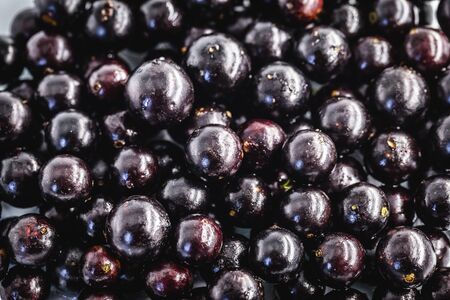 Several Brazilian fruits, called jabuticaba or jaboticaba. Organic fruit and without convergent. Fruits of the month of October.の写真素材