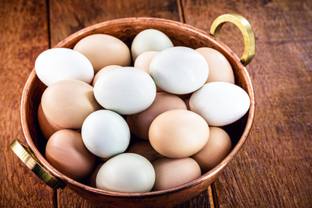 colored Brazilian free-range egg, from chickens fed diets exclusively of vegetable origin, organic food without chemical additivesの写真素材