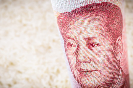 chinese 100 yen banknote with blurred rice background