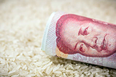 detail of a 100 yen banknote on white rice, concept of agribusiness and export or import of riceの写真素材
