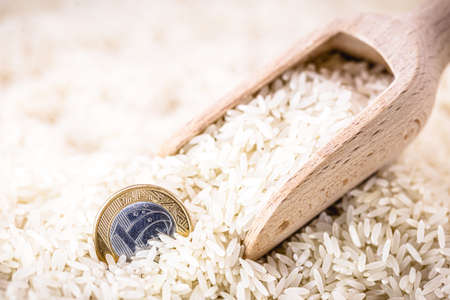 one brazilian real coin with 100 yen banknote on white rice, concept of agribusiness, exports and importsの写真素材