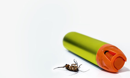 dead cockroach and insect next to a poison spray bottle, white background. Toxins, insecticides,...