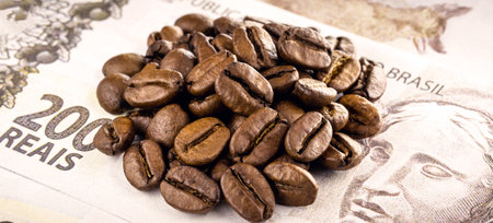 lot of coffee beans, on two hundred reais bank note. Concept of Brazilian coffee export or importの写真素材
