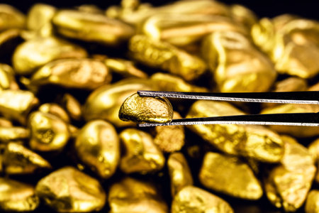 tweezers holding shiny gold nugget, concept of jewelry and ore and goldsmith work