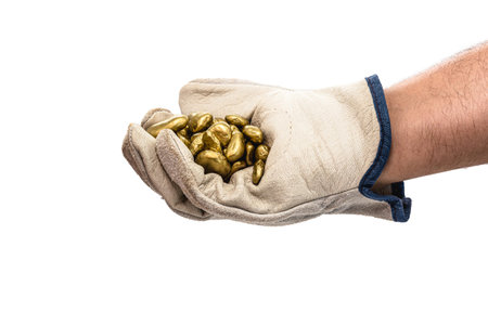 miner hand with protective glove holding gold ore, golden metallic stone, isolated white background....