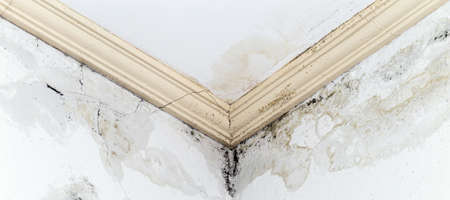 leaky wall and water seeping in, fungus and mold spreading quickly, cause breathing problems indoorsの写真素材