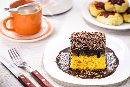 slice of carrot cake with dripping chocolate sprinkles icing, typical Brazilian cake made at home or bakeries, afternoon snackの素材 [FY310186984178]