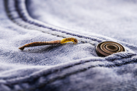 Wall moth larvae, or clothing moths, feed on fur, wool, dead skin fragments, hair and paper. Pierces...