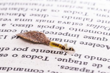 moth larva in cocoon on old book, feeding on paper or cellulose, macro photo of urban pest, lack of...