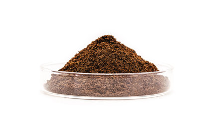 high quality coffee powder in petri dish, bio engineering laboratory white background, transgenic...