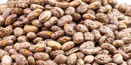 Rajado beans, brazilian beans, seed pile on isolated , macro photography