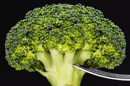 Broccoli on a silver fork. Vegetable black background isolated.Concept and diet concept, weight loss, healthy eating, macro photographyの写真素材