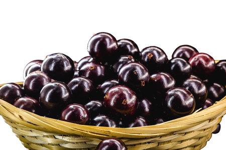 Jaboticaba or jabuticaba is a purplish black-white fruit that can be eaten raw or used to make jams, juices, liqueur or wine. Typical Brazil fruit on white isolated background.の写真素材