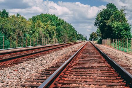 Railroad Tracks into Distance lined by green trees in Houston, TXの写真素材