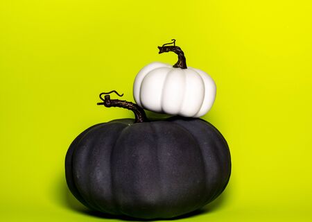white decorative pumpkin on top of a black decorative pumpkin for holiday thanksgiving theme front view on a green yellow background with room for textの写真素材