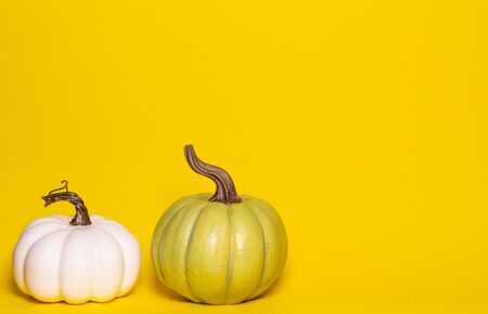 White and green decorative thanksgiving pumpkins front view on a yellow background with room for textの写真素材