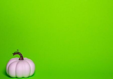 White decorative thanksgiving pumpkin front view on a green background with room for textの写真素材